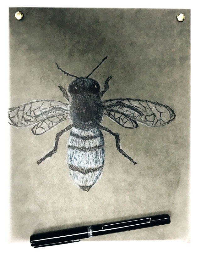Bee Illustration Art Lesson 