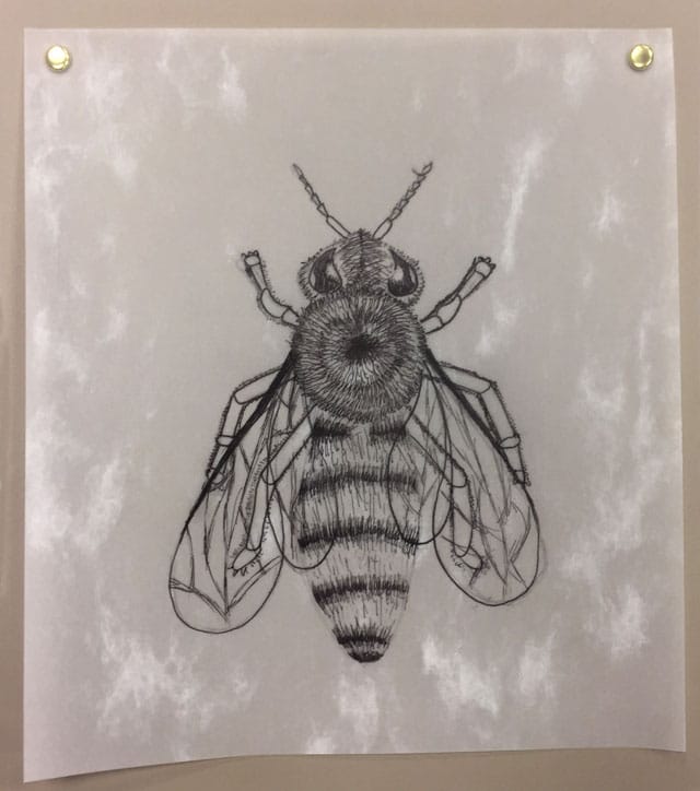 bee2.jpg bee2.jpg